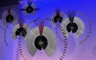 Pourquoi, la psychologie positive est essentielle ?