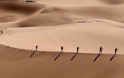 Le corps ne dysfonctionne pas, il communique